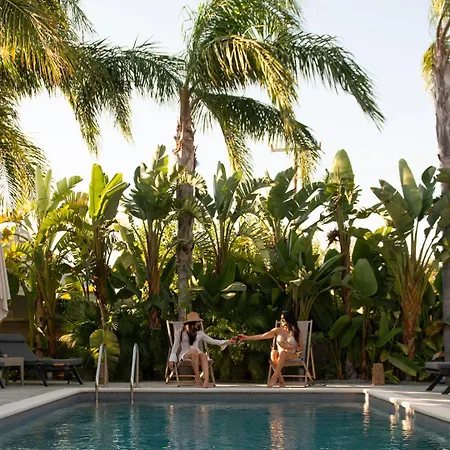 Palmeral Luxury